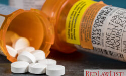 cherokee nation opioid lawsuit